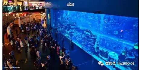 世界那么大，我想去看看——阿聯(lián)酋，我們來了